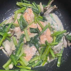 鮭とぶなしめじと小松菜のクリーム煮